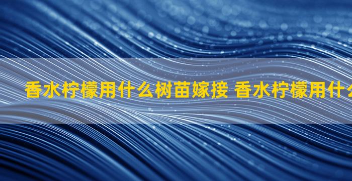 香水柠檬用什么树苗嫁接 香水柠檬用什么砧木嫁接